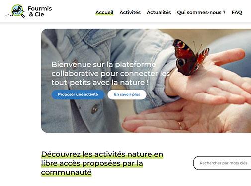 Image Fourmis et Cie